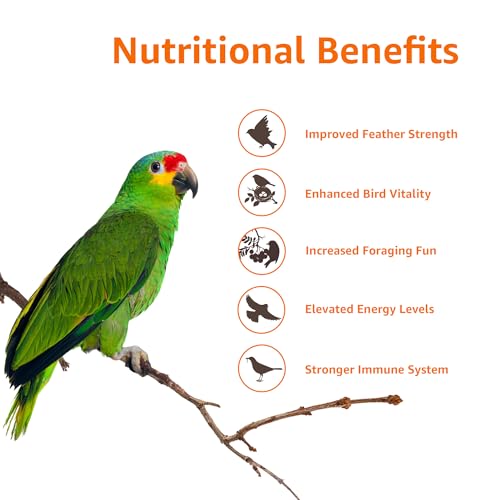 Amazon Basics Mix Seed Bird