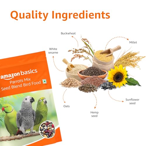 Amazon Basics Mix Seed Bird