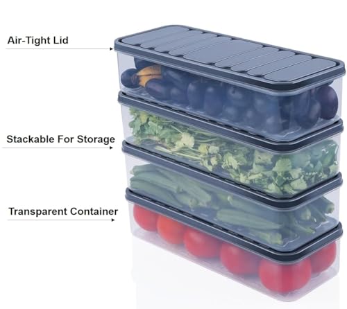 RIOMAX Fridge Storage Boxes Fridge