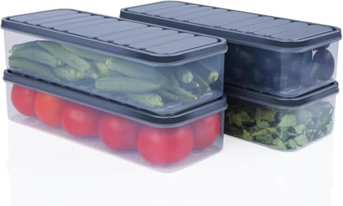 RIOMAX Fridge Storage Boxes Fridge