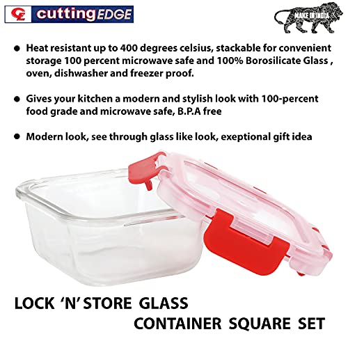Cutting EDGE Borosilicate Glass Container