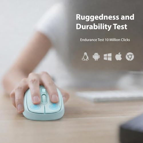 iVOOMi Noiseless Click Wireless- Hank