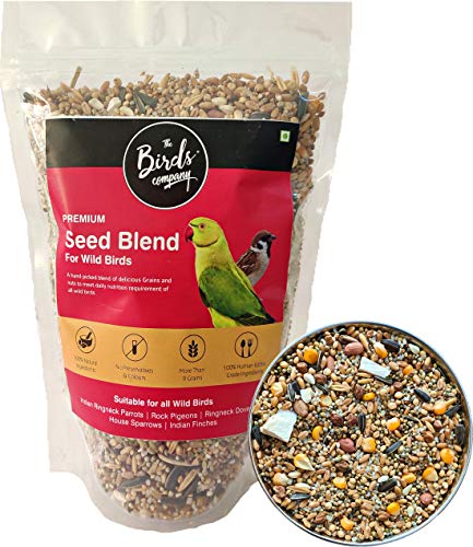 The Birds Company Premium Seed