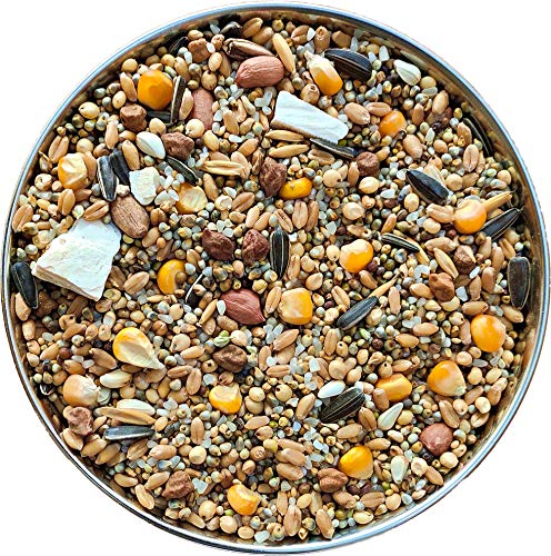 The Birds Company Premium Seed