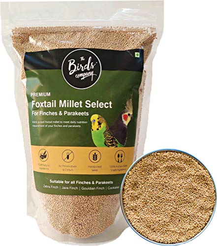 The Birds Company Foxtail Millet