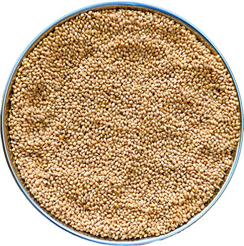 The Birds Company Foxtail Millet
