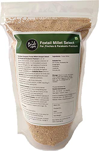 The Birds Company Foxtail Millet