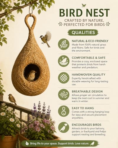 Safest Round Organic Bird nest