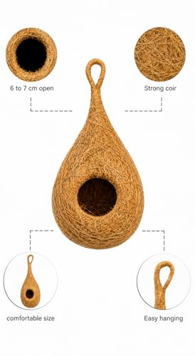 Safest Round Organic Bird nest