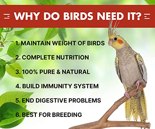 Boltz Adult Bird Food