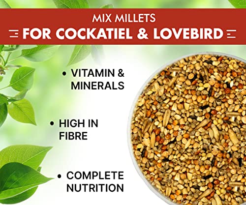 Boltz Adult Bird Food