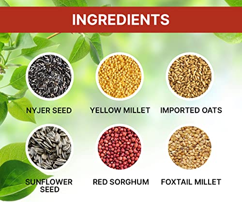 Boltz Adult Bird Food