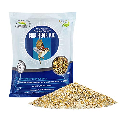 Bird Seeds Feeder Mix