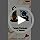 Bird Seeds Feeder Mix