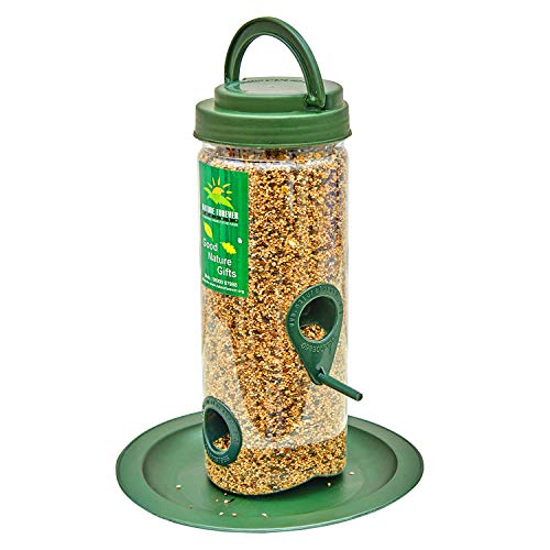 Bird Seeds Feeder Mix