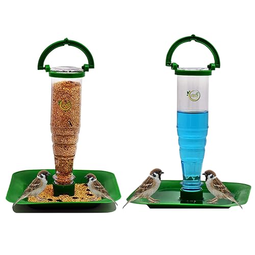 Bird Food Feeder and Water