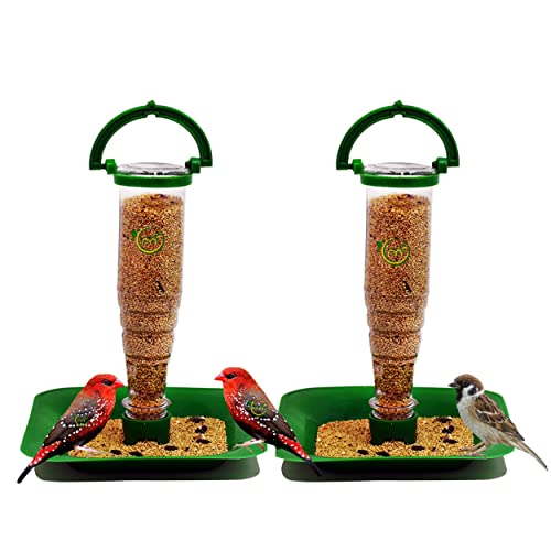 Bird Food Feeder and Water