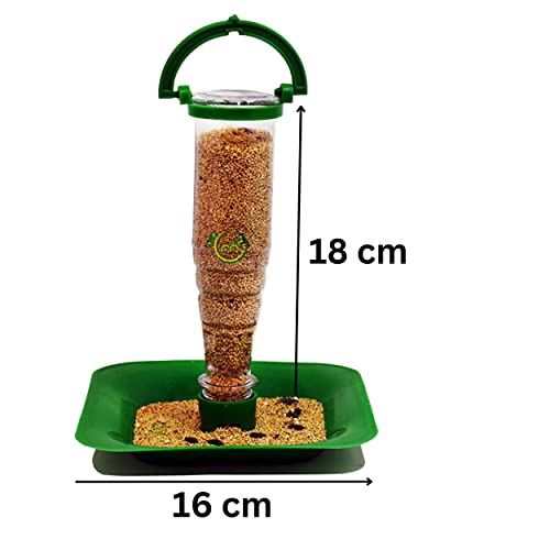Bird Food Feeder and Water