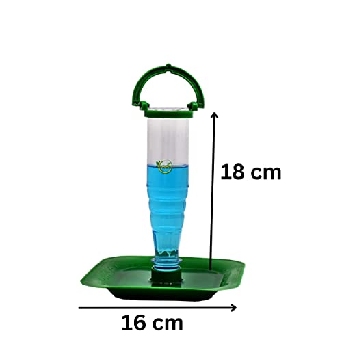Bird Food Feeder and Water