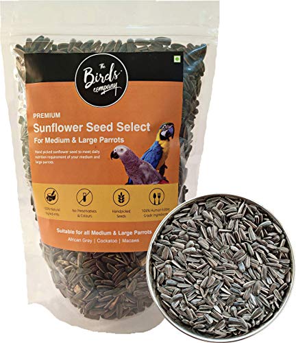 The Birds Company Striped Sunflower