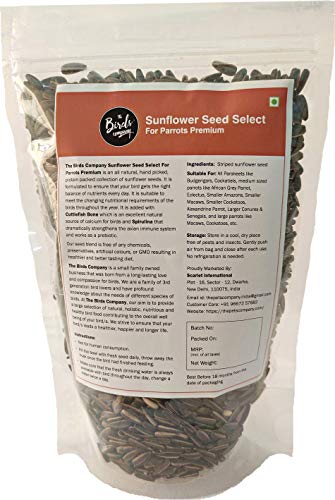 The Birds Company Striped Sunflower