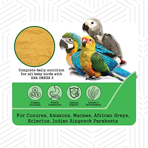 PETSLIFE Hand Feeding Formula for Baby Birds, 250g - Image 6