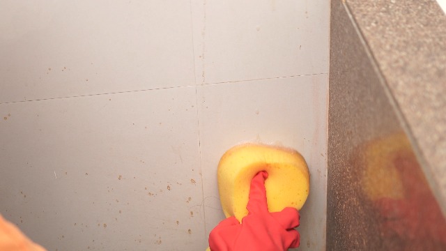 SIKA - Tile Cleaning Agent