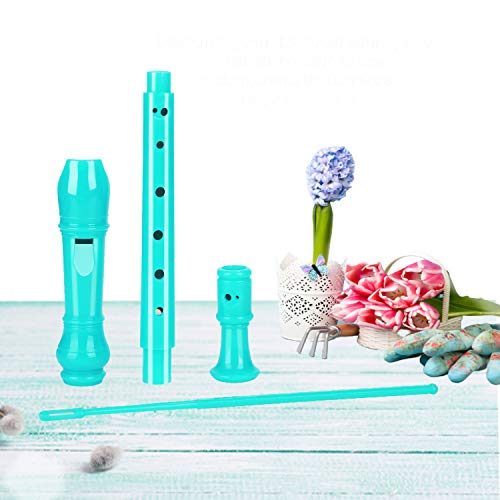 Descant Soprano Recorder Music Recorder