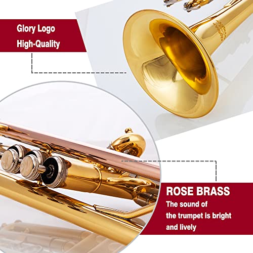 Glory Bb Trumpet - Trumpets