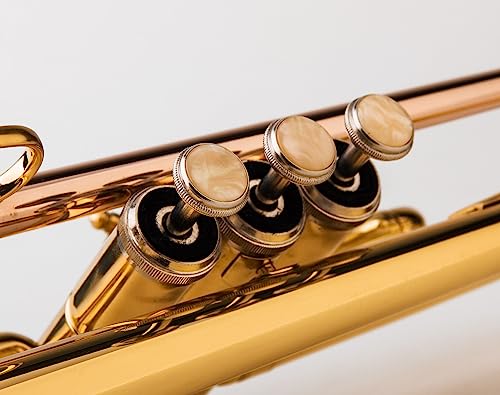 Glory Bb Trumpet - Trumpets