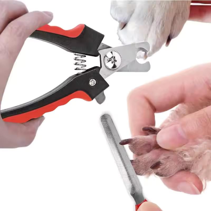 Pets Empire Dog & Cat