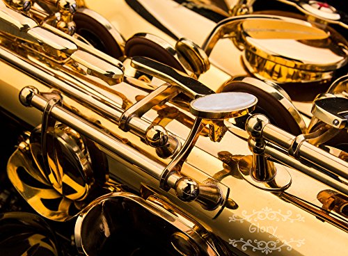 Glory Professional Alto Eb SAX