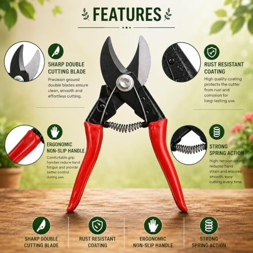 Indian Gardens – Double Cutter