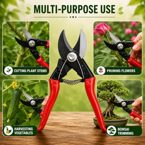 Indian Gardens – Double Cutter