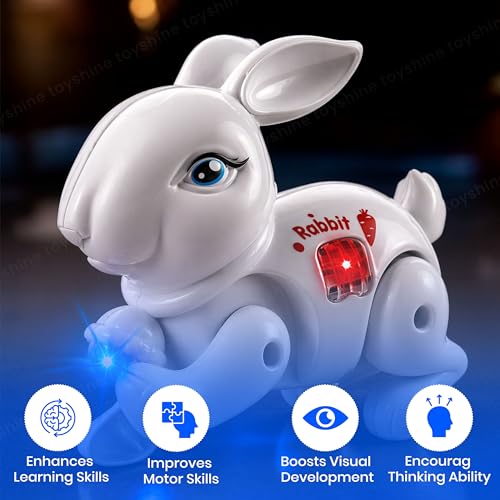 Toyshine Battery Operated Cute Interactive