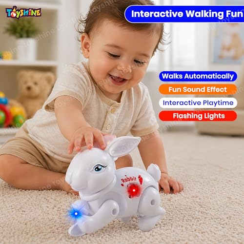 Toyshine Battery Operated Cute Interactive