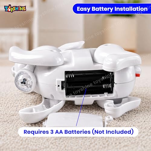 Toyshine Battery Operated Cute Interactive