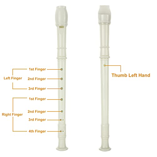 16 Pack 8 Hole Recorder