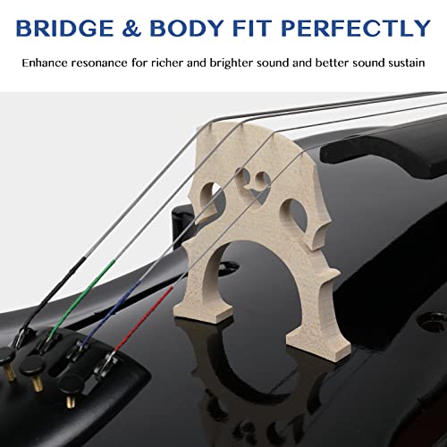 Ktaxon Full-Size Cello, Beginner Cello