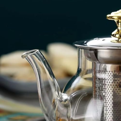 Glass Tea Pot with Stainless