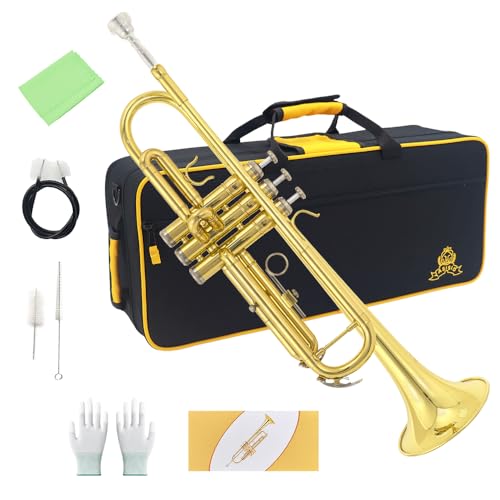 Bb Standard Trumpet Set, Brass