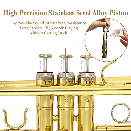 Bb Standard Trumpet Set, Brass