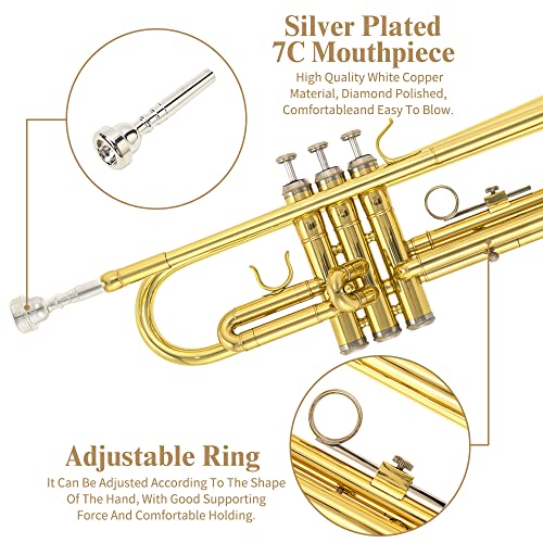Bb Standard Trumpet Set, Brass