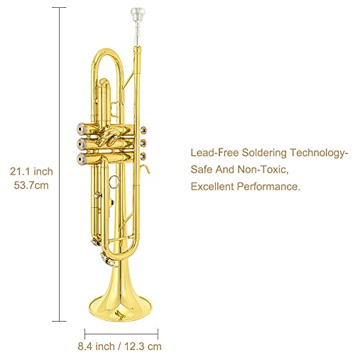 Bb Standard Trumpet Set, Brass