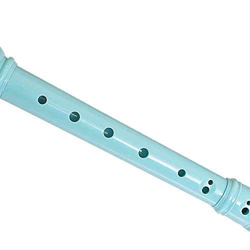 2-Piece Soprano Recorder Instrument