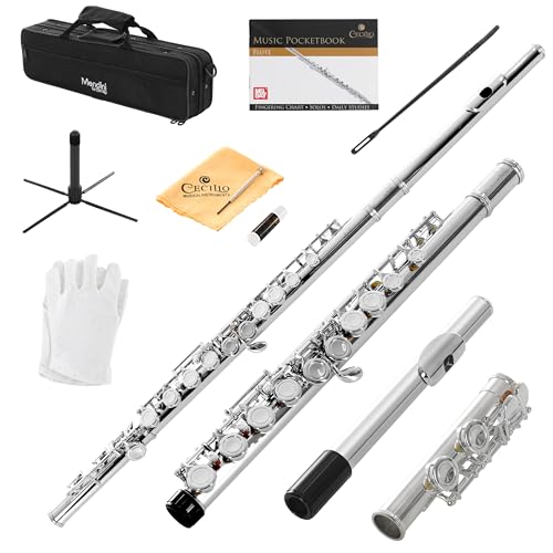Mendini Closed Hole C Flute