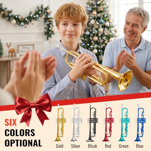 LeSage Bb Standard Trumpet Set