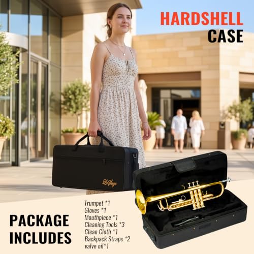 LeSage Bb Standard Trumpet Set