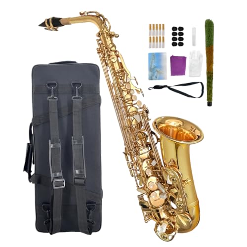 Alto Saxophone Beginner kit