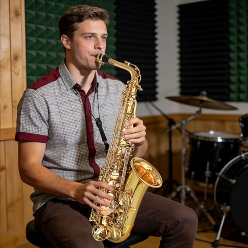 Alto Saxophone Beginner kit